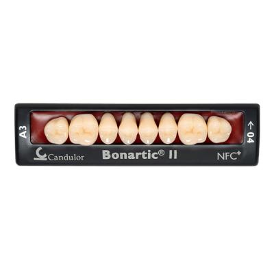Bonartic II NFC+ - композитные боковые зубы | Candulor AG (Швейцария)