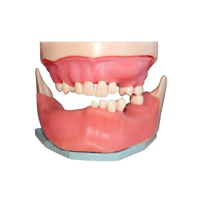 МУ0363 - денто-модель для хирургической практики | Зарница (Россия)
