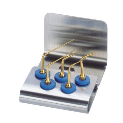 Набор Эндо Ревизия (насадки ER1, ER2, ER3, ER4, ER5) | Mectron (Италия)