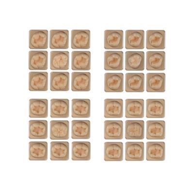 SET17 - набор демонстрационных моделей зубов №17, в комплекте 16, 17, 36, 37 | ID.POPOV (Россия)