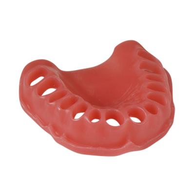 ДВ-28 - эластичная слизистая верхней челюсти для денто-моделей ЧВН-28 и ЧВН-28А | Зарница (Россия)