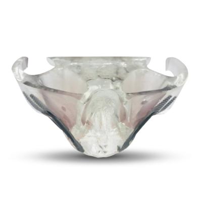 T20 – демонстрационная модель верхней челюсти со скуловыми имплантами | GF Dental (Италия)