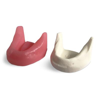 E81G – модель нижней челюсти для практики установки имплантатов | GF Dental (Италия)