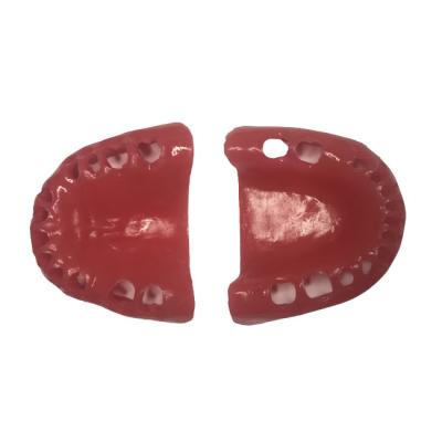 E56G  – сменные десны для фантомной челюсти, эластичные, розовые | GF Dental (Италия)