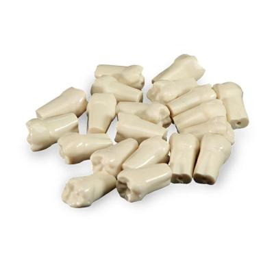 Комплект зубов для модели челюсти FJP-28АS, 14 шт. | Medskills (Россия)