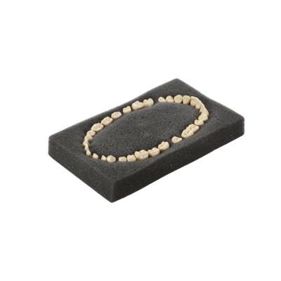 E03NT – комплект сменных зубов для фантомной челюсти | GF Dental (Италия)