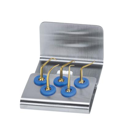 Набор Эндо Ретро (насадки R1, R2, R3, R4, R5) | Mectron (Италия)