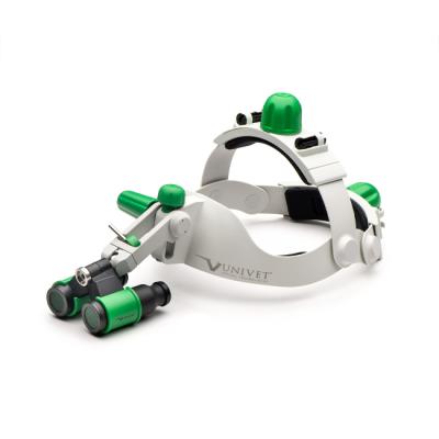 Headgear - бинокулярные лупы системы Flip-up с креплением на шлеме, рабочее расстояние 300-500 мм, увеличение 3.5x/4.5x/6.0x | Univet (Италия)
