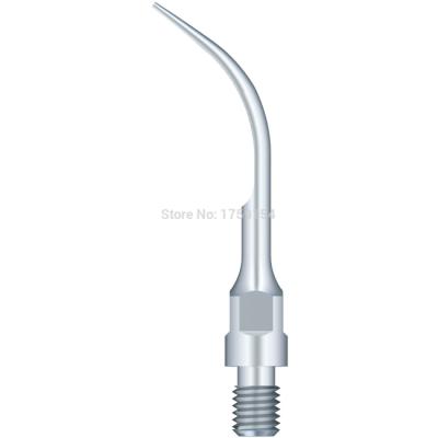 Насадка GS5 для скалеров Woodpecker, для снятия зубных отложений (подходит к Sirona) | Woodpecker (Китай)