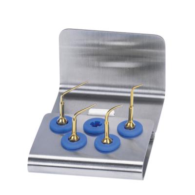 Набор Универсальный периопрофиль (насадки P1, P2, P3, P4) | Mectron (Италия)