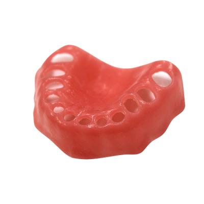 ДВ-24 - эластичная слизистая верхней челюсти для денто-модели ЧВН-24 | Зарница (Россия)