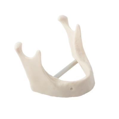 Модель кости нижней челюсти для проведения имплантации | Dentalstore (Италия)
