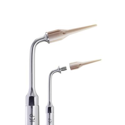 Набор для чистки имплантатов Р (держатель ICP, 5 насадок IC1) | Mectron (Италия)