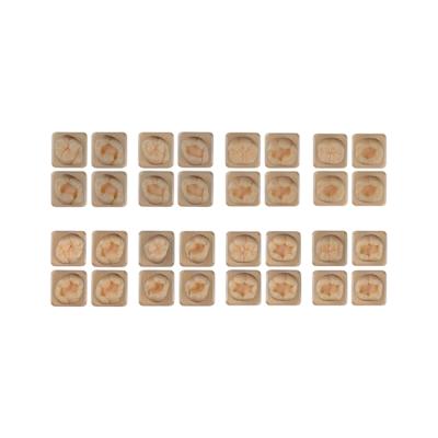 SET21 - набор демонстрационных моделей зубов №21, в комплекте 16, 17, 26, 27, 36, 37, 46, 47 | ID.POPOV (Россия)