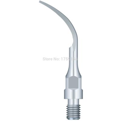 Насадка GS2 для скалеров Woodpecker, для снятия зубных отложений (подходит к Sirona) | Woodpecker (Китай)